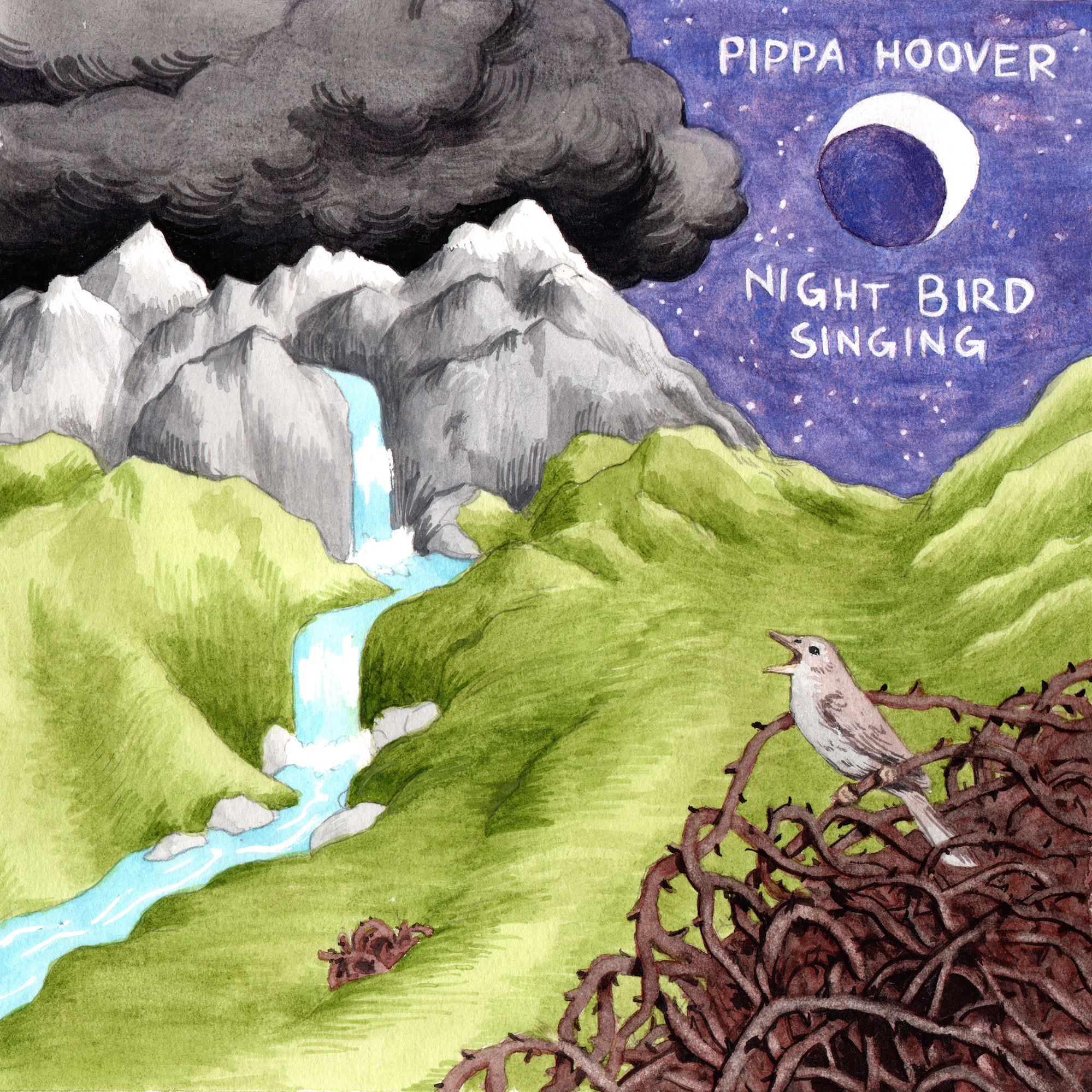 <i>Night Bird Singing</i> album cover. <br>Art by Laura Hamon. 